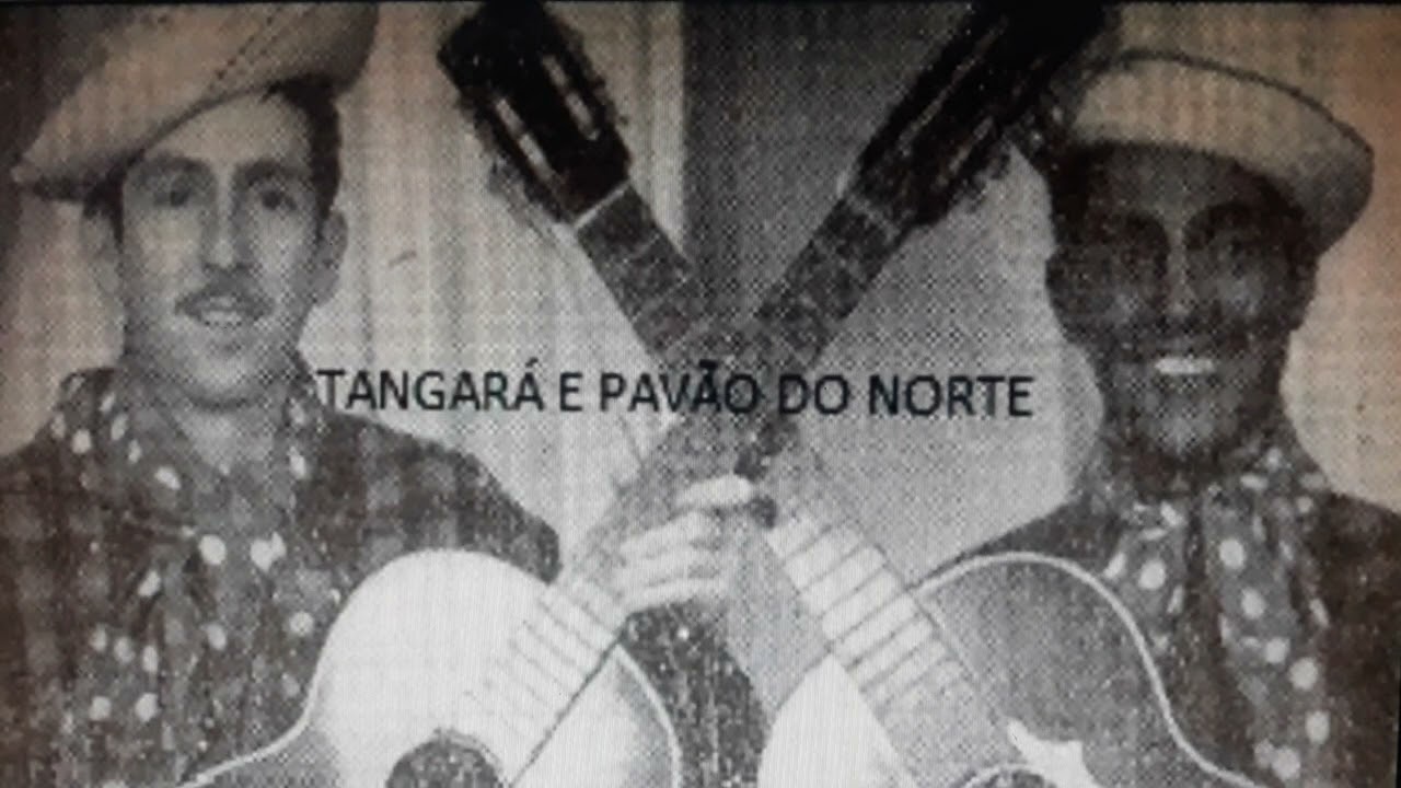 Tangará e Pavão Do Norte Boiadeiro Inteligente