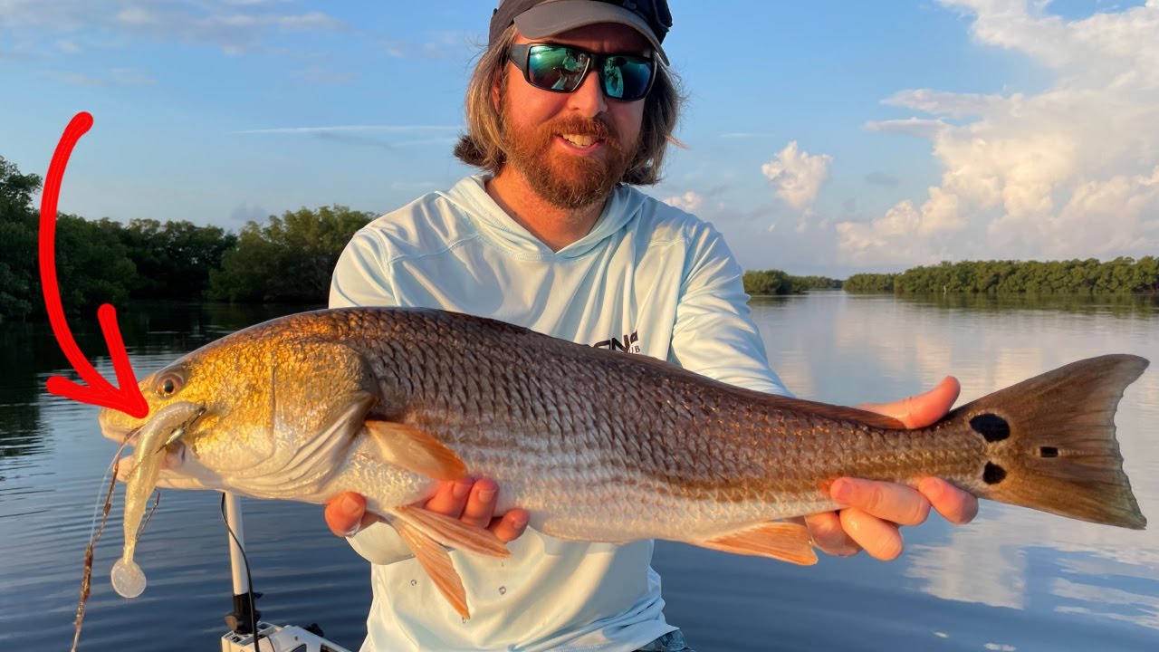 What Is The Best Artificial Lure For Inshore Fishing During The Fall?