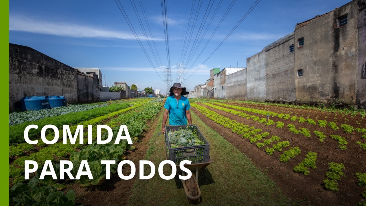 Como hortas comunitárias estão mudando o jeito de produzir comida na periferia de São Paulo