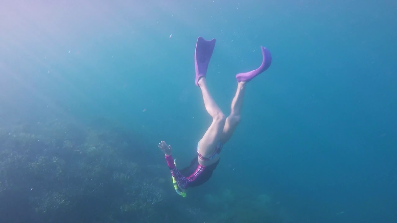 2016.10. 22 Coron - Chindonan dive resort day3