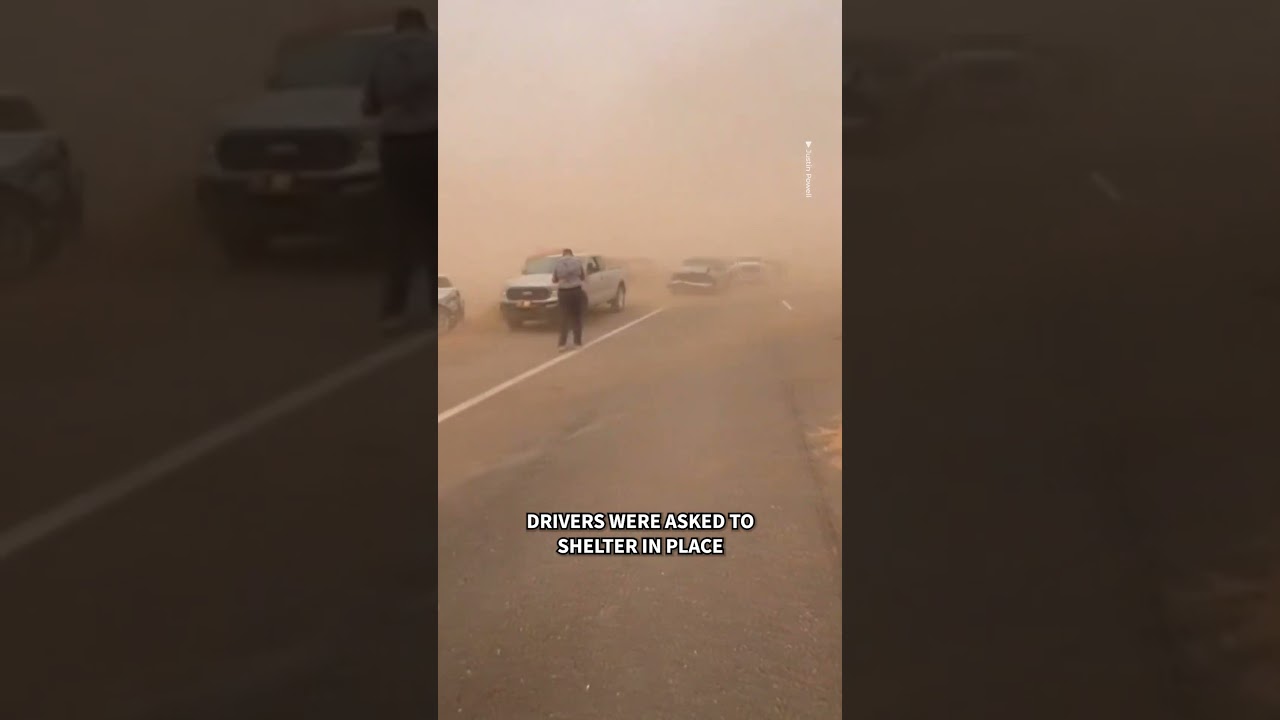 New Mexico dust storm leaves drivers stranded with near-zero visibility