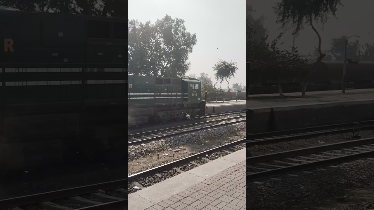 Live 3 Goats hit by Fright Train 😱 at Sahiwal #pakistanrailways #trainaccident #publictransport