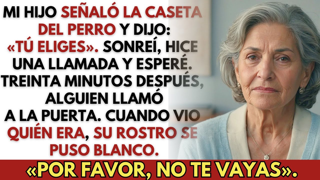 Mi hijo me echó al asilo o al patio. Treinta minutos después, me pidió que no me fuera.