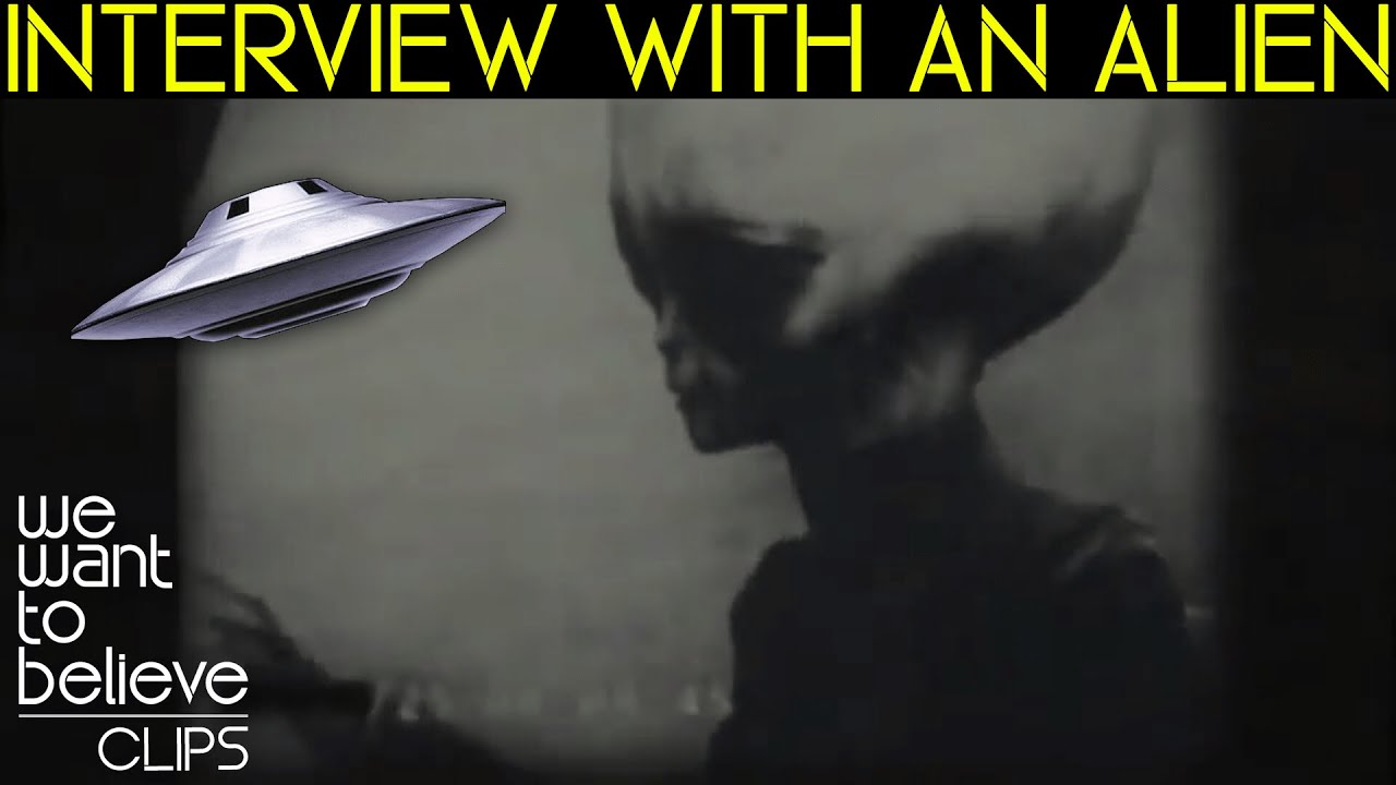 Skinny Bob - Interview With an Alien (Reaction and Review) | We Want to Believe