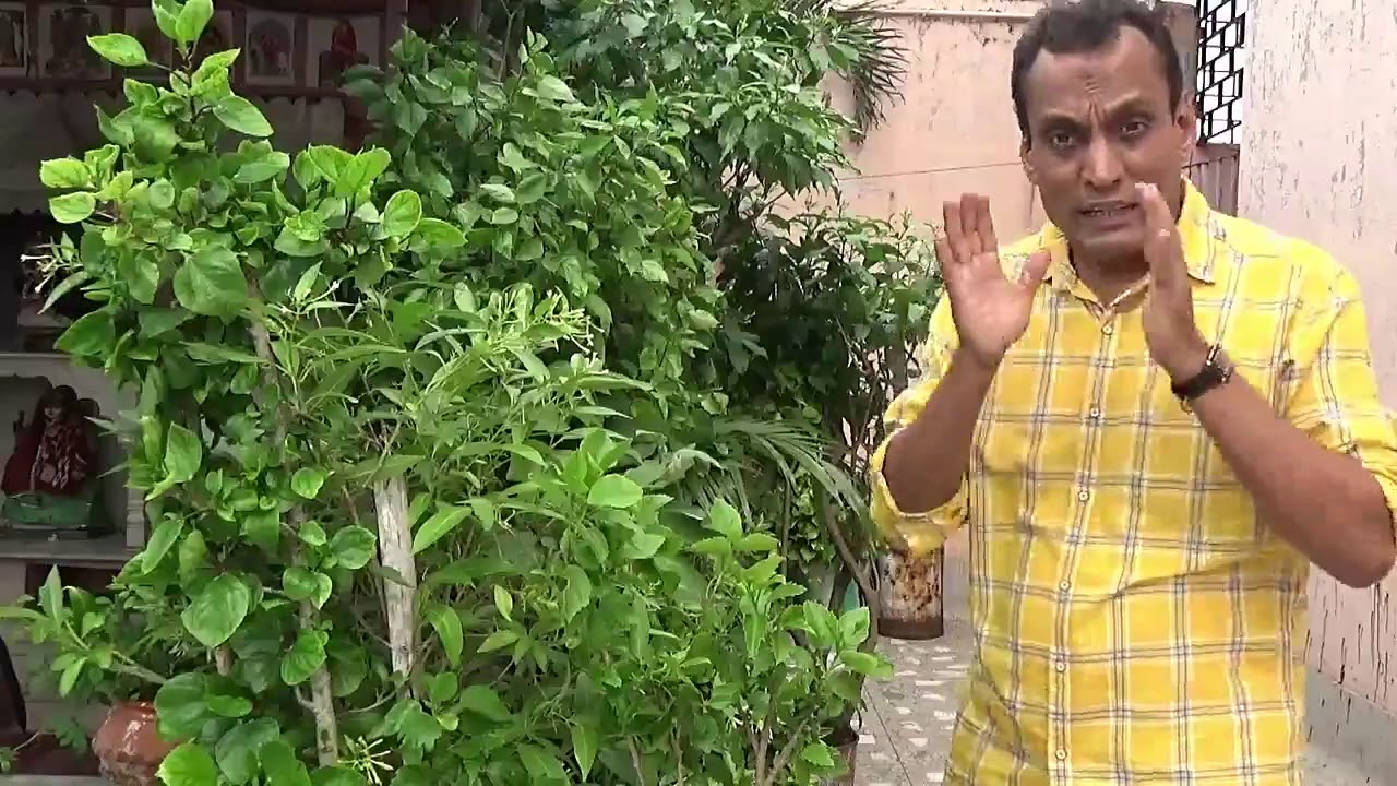 25A 25B of Custom Act | Ek saath dono section yaad ho gaye|  Custom Amendment | CA Sanjay Mundhra |