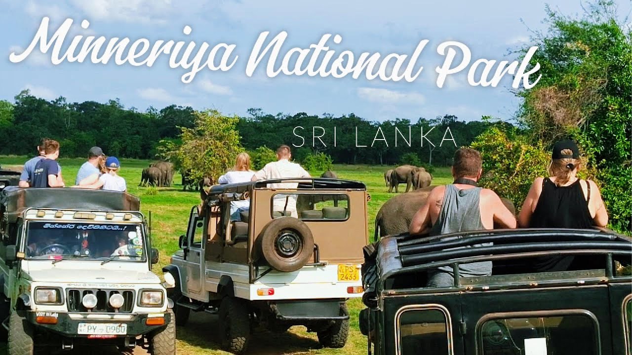 Minneriya National Park  🐘 🦚 Sri Lanka 🇱🇰 