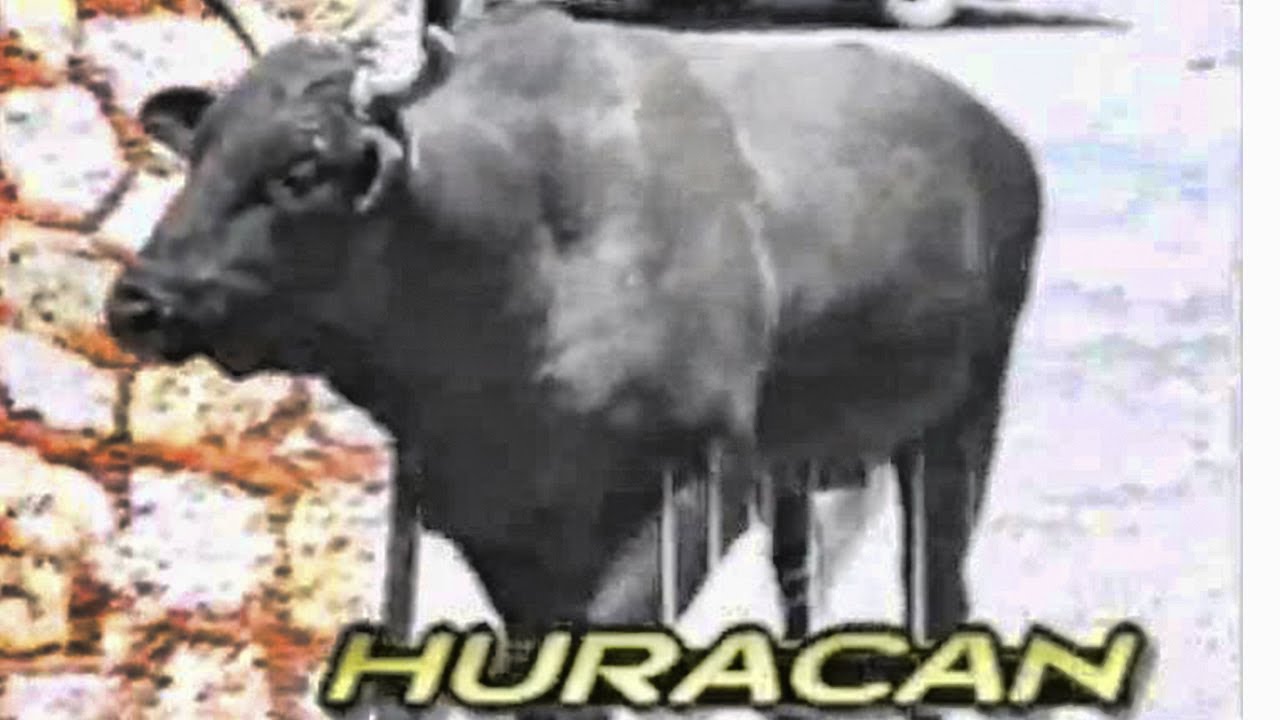MEMORIAS DEL TORO DEL SIGLO EL HURACAN PELICULA COMPLETA