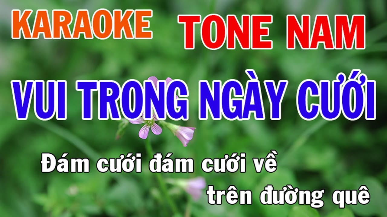 Vui Trong Ngày Cưới Karaoke Tone Nam Nhạc Sống - Phối Mới Dễ Hát - Nhật Nguyễn
