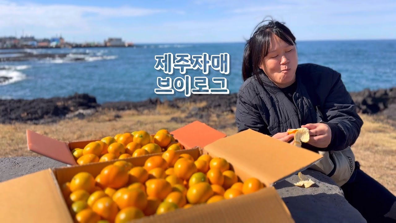 [브이로그] 제주자매의 제주일상 브이로그 -제39부-