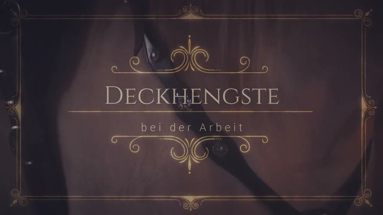 Berberhengste - Deckhengste in Arbeit