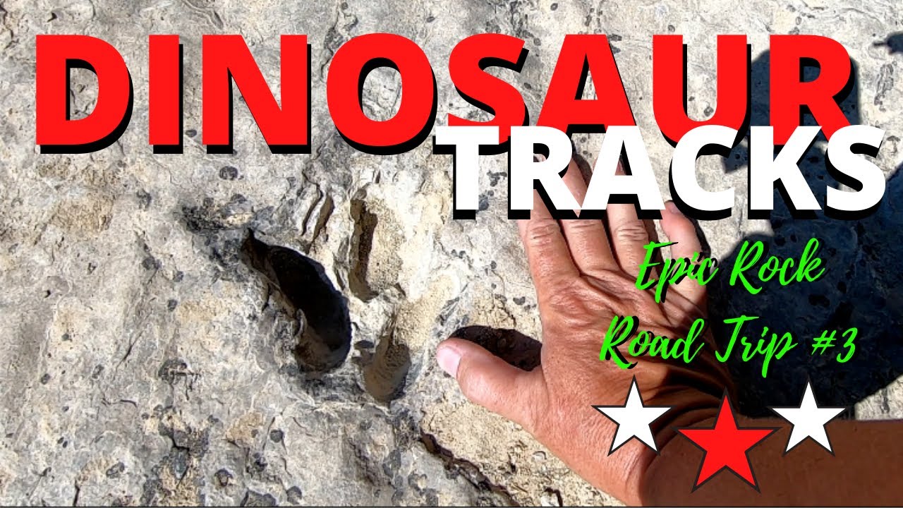 DINOSAUR TRACKS! Exploring Red Gulch Dinosaur Trackway Epic Rock Road Trip #3