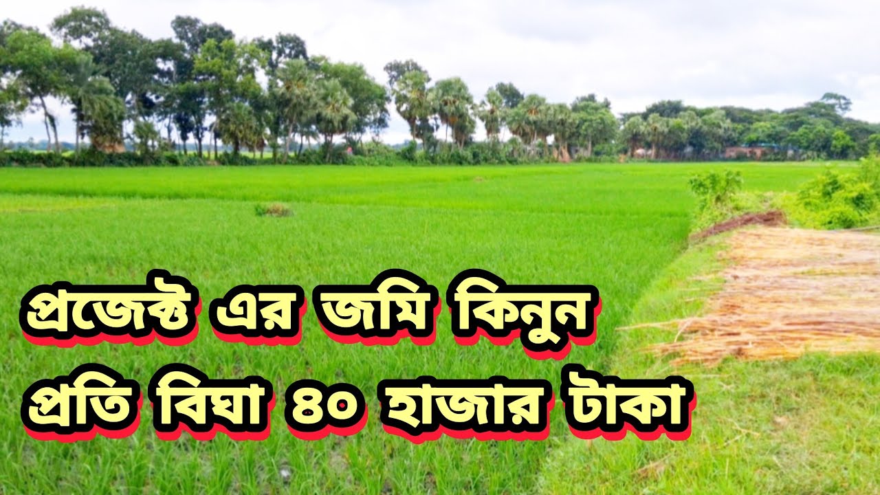 কম দামে প্রজেক্ট এর জমি কিনুন প্রতি বিঘা মাত্র ৪০ হাজার টাকায় 