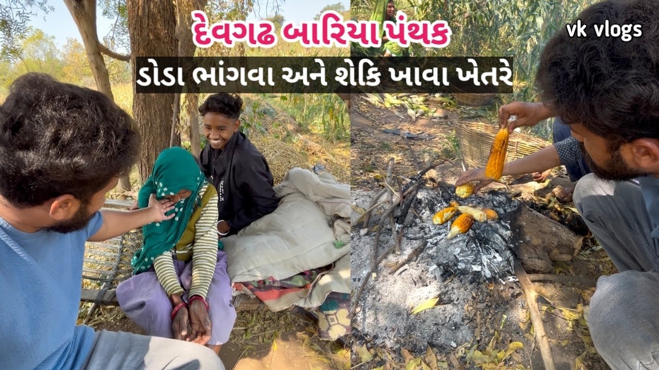 દાદા દાદીનું કામકાજ // ડોડા ભાંગવા ખેતરે 🤩❤️ // દેવગઢ બારિયા પંથક// Vk vlogs 😍