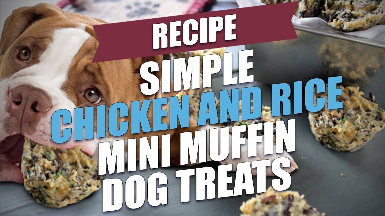 Simple Chicken and Rice Mini Muffin Dog Treats Recipe