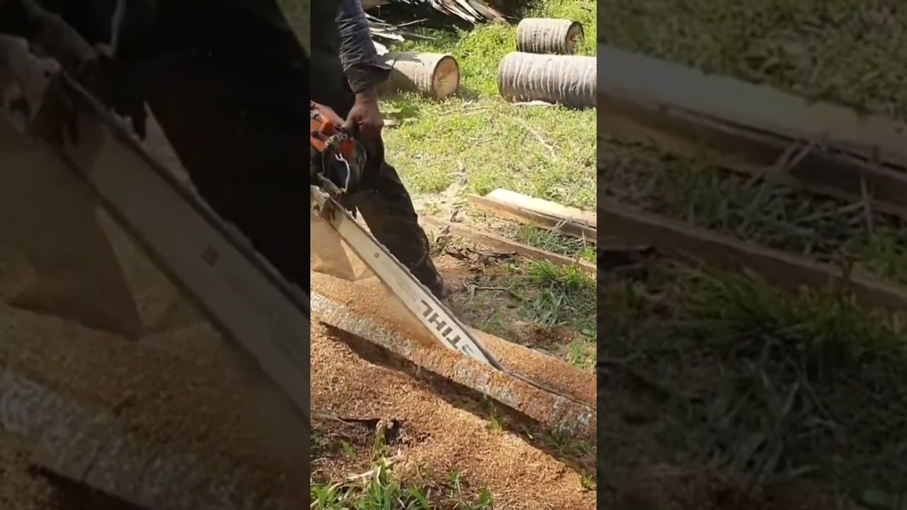 STIHL Chainsaw #chainsaw #stihl #wood #shorts #2968