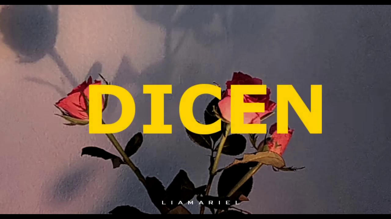 Pamela Cort&eacute;s - Dicen (Letra/Letter).