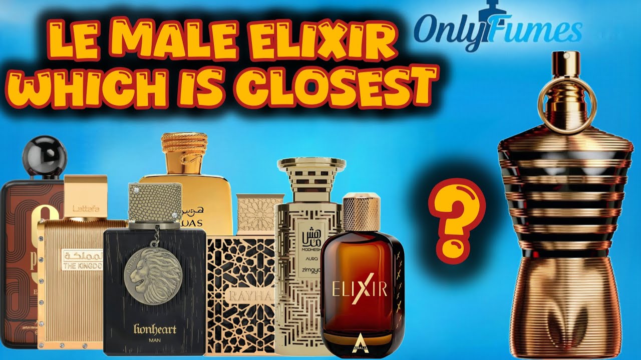 Le Male Elixir Closest DNA Dupes and Inspiration #fragrance #rayhaan #lattafa #scents #clubdenuit 