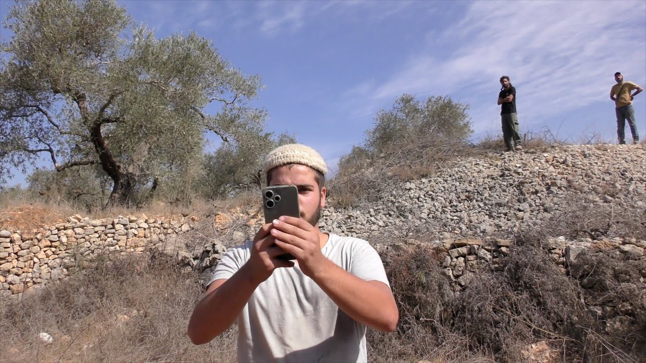 2024 West Bank olive harvest: Israel furthers land grab