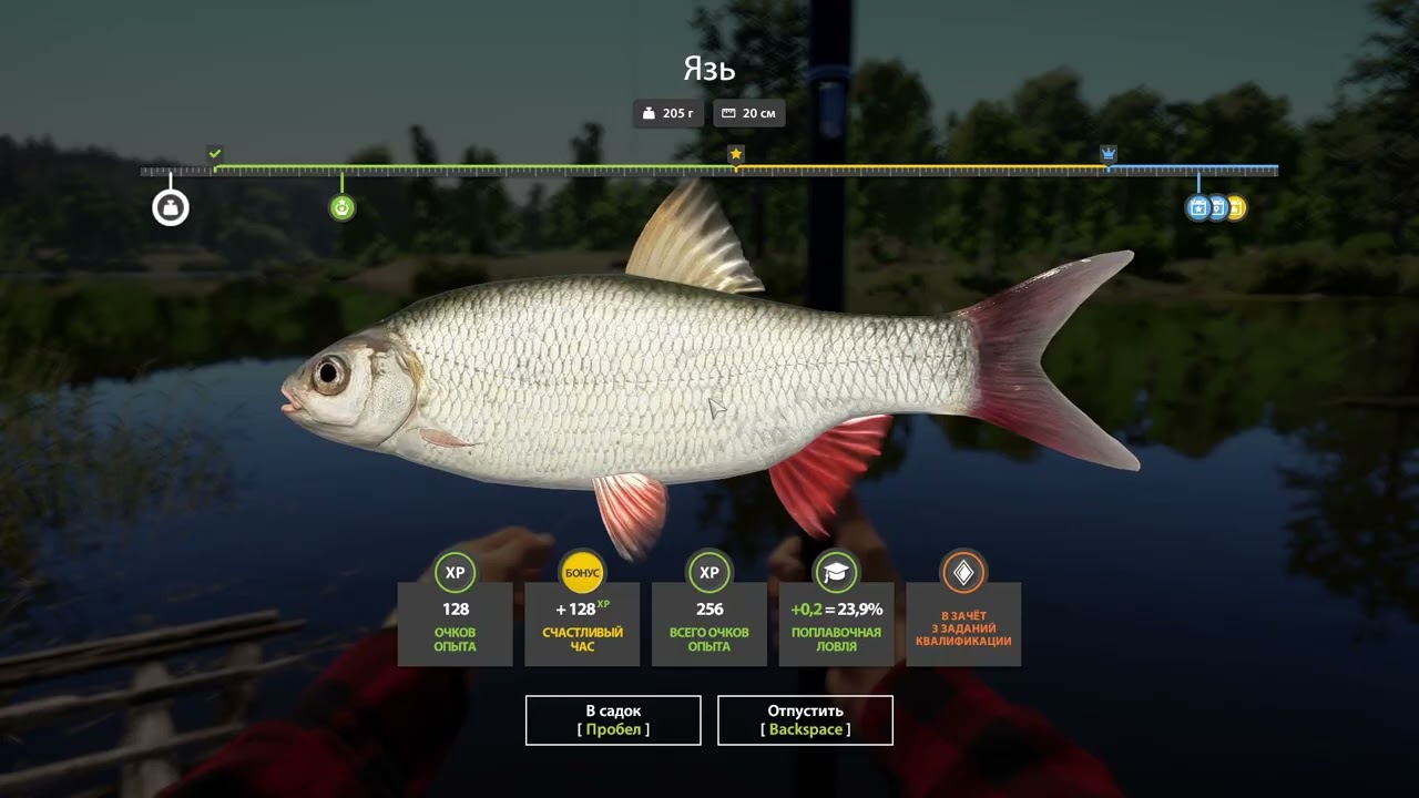 Russian Fishing 4- хорошая рыбалочка на поплавок получилась.