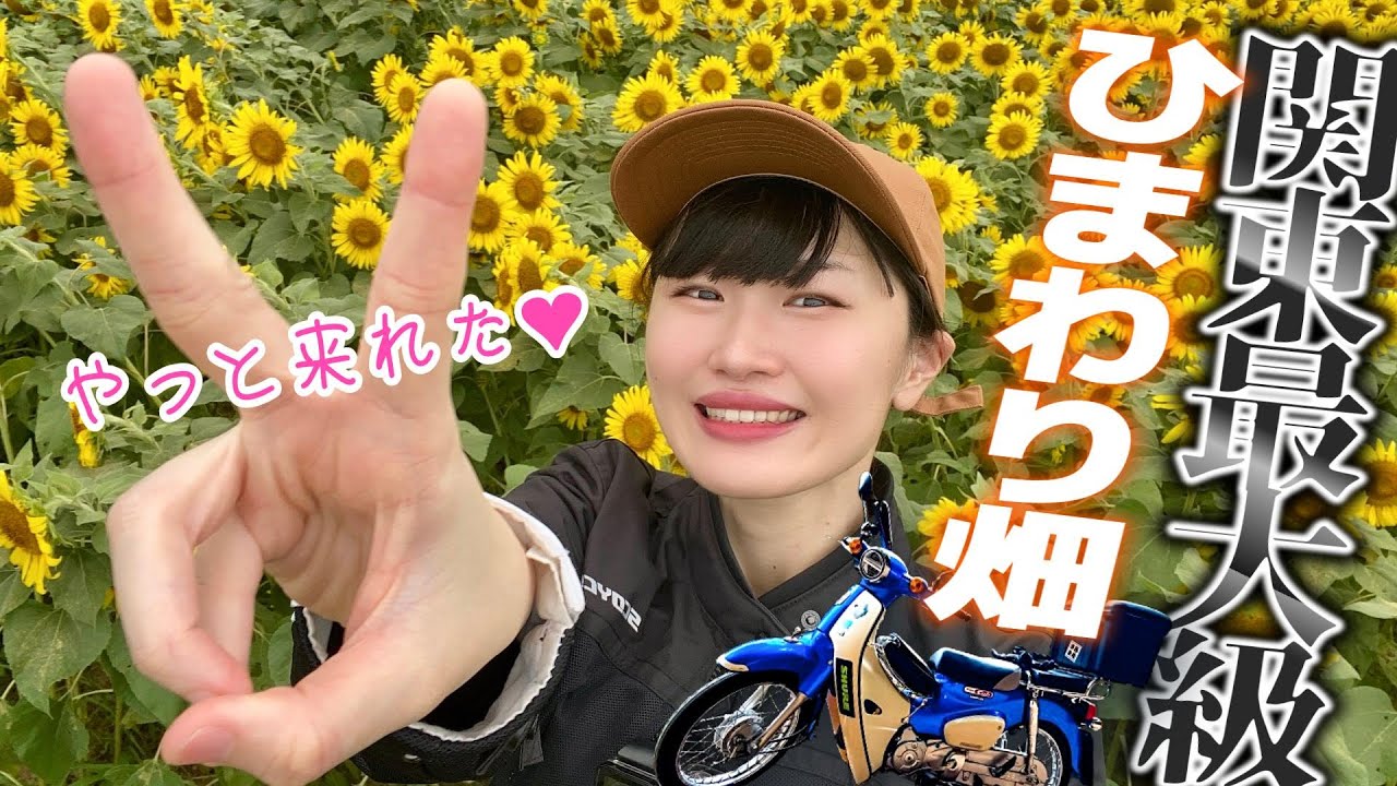 【絶景】バイク女子、カップルだらけの座間ヒマワリ畑へ!!【ソロツーリング♡】