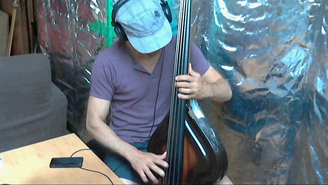 Latin New York - Alfredo de la F&eacute; (2000) - Ampeg Baby Bass BB5