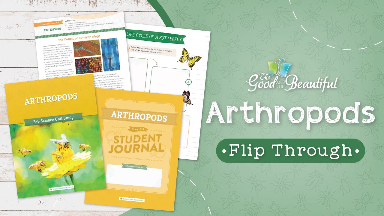 Arthropods Flip Through | The Good and the Beautiful