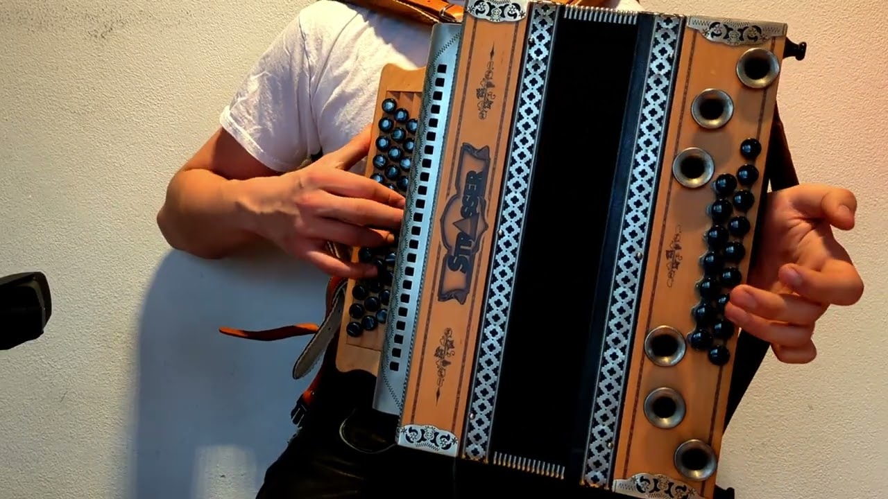 Salzburger Dreher - Steirische Harmonika