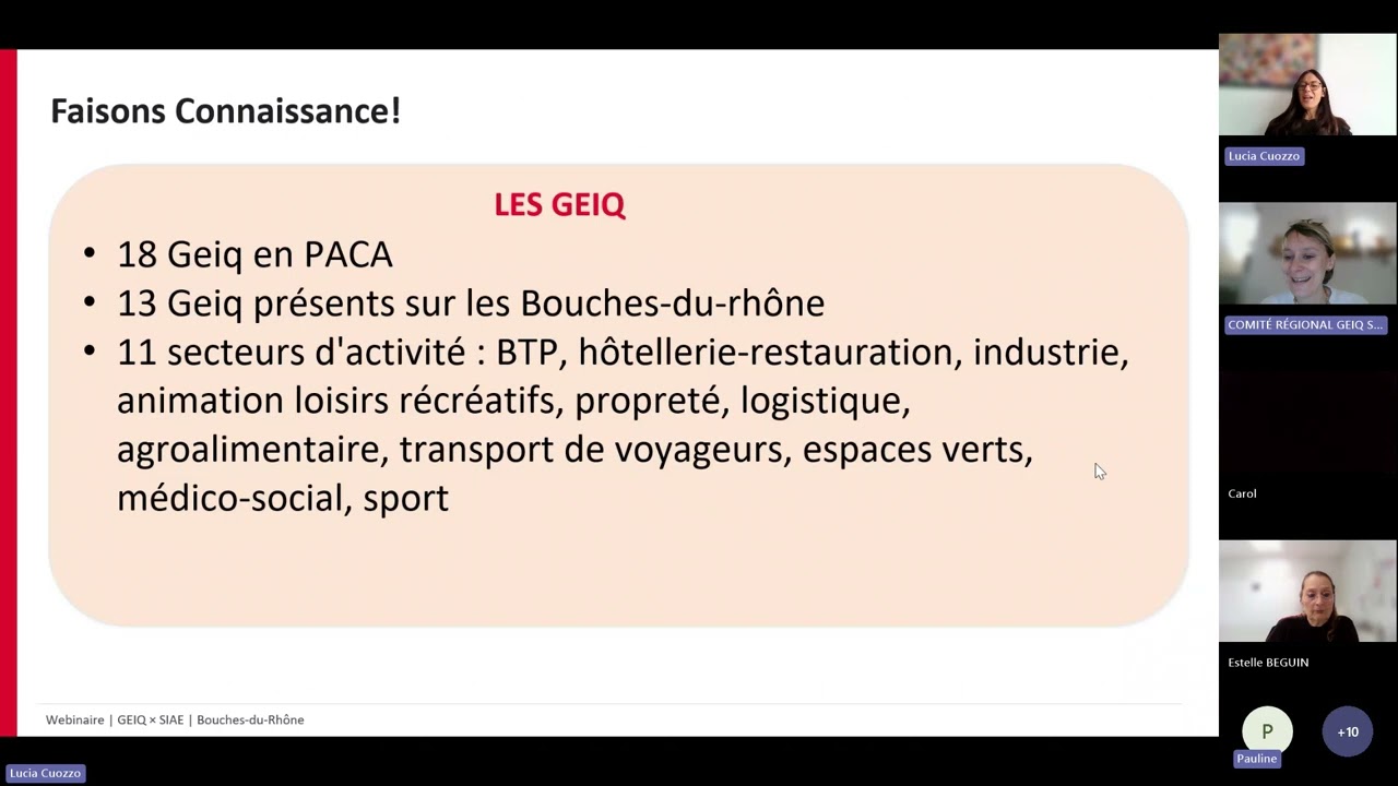 📣 Webinaire : Comprendre les GEIQ. Organisé par Coorace et La Fédération des entreprises d'insertion
