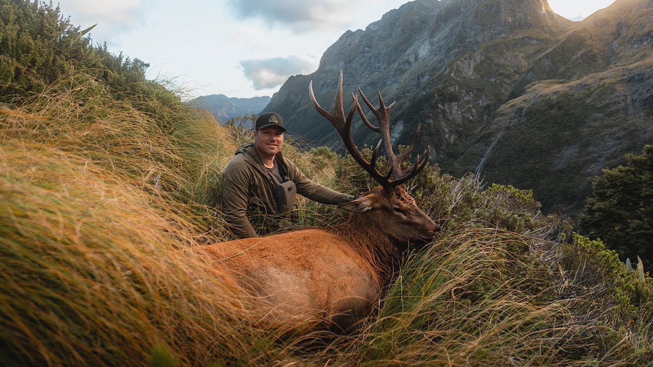 An Elk Hunt Few Will Ever Experience | New Zealand Wapiti 