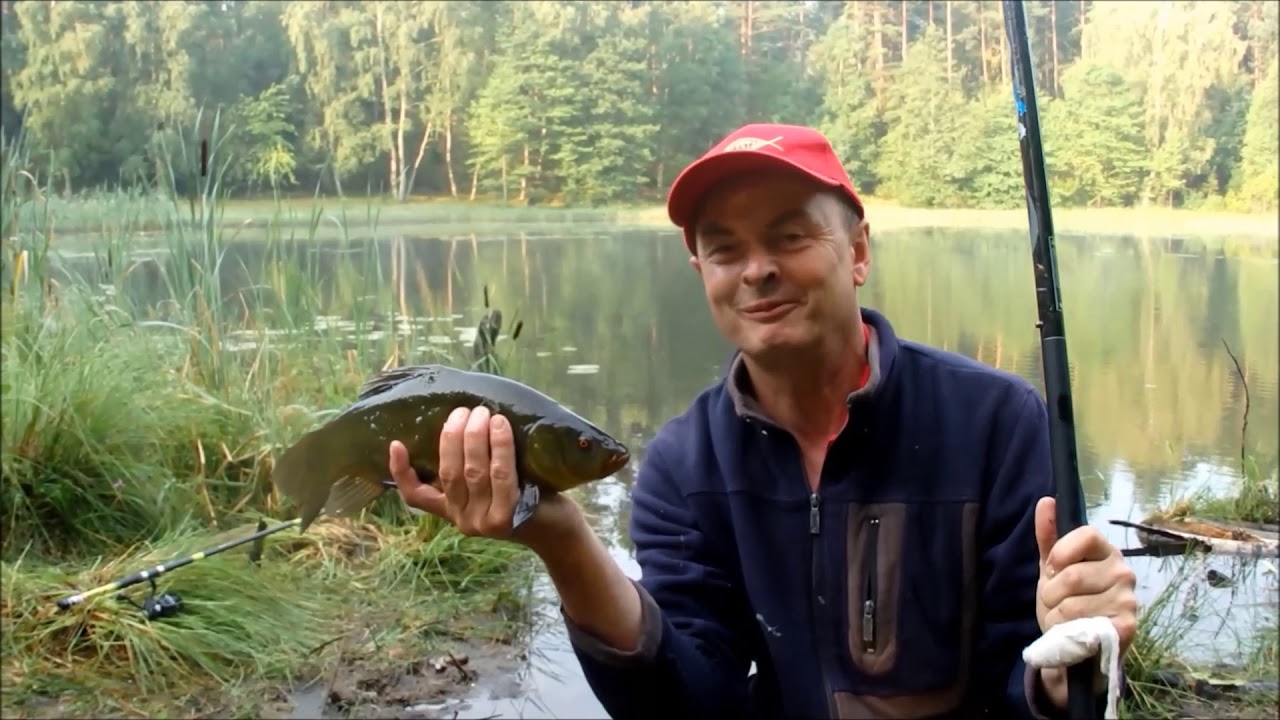 Przystań i Walcz! - o nas