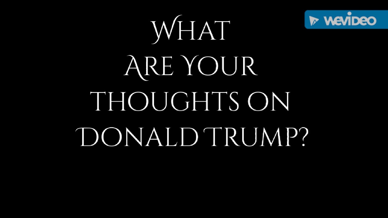 WHAT ARE YOUR THOUGHTS ON DONALD TRUMP?!?!?