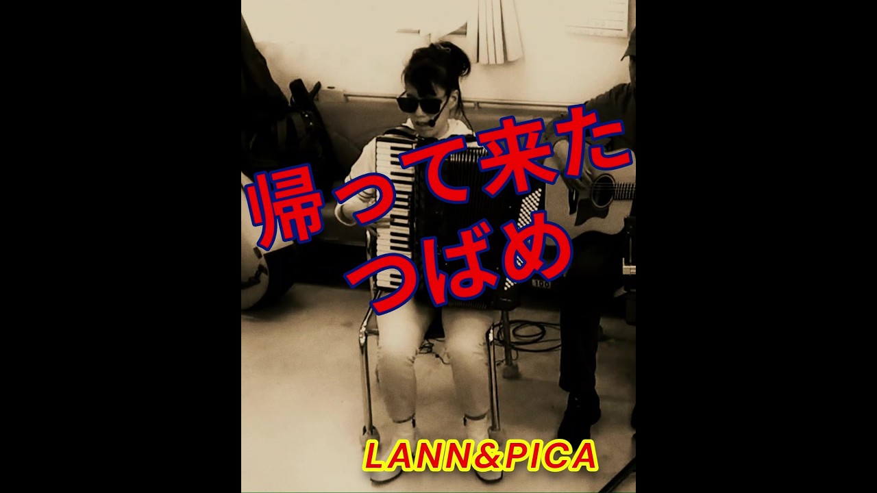 帰って来たつばめ　小平六三四にて　ラン＆ピカ(378)