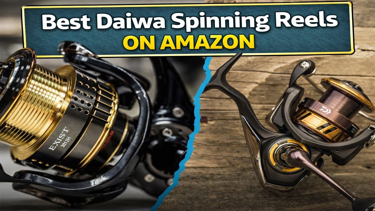 10 лучших спиннинговых катушек Daiwa на Amazon