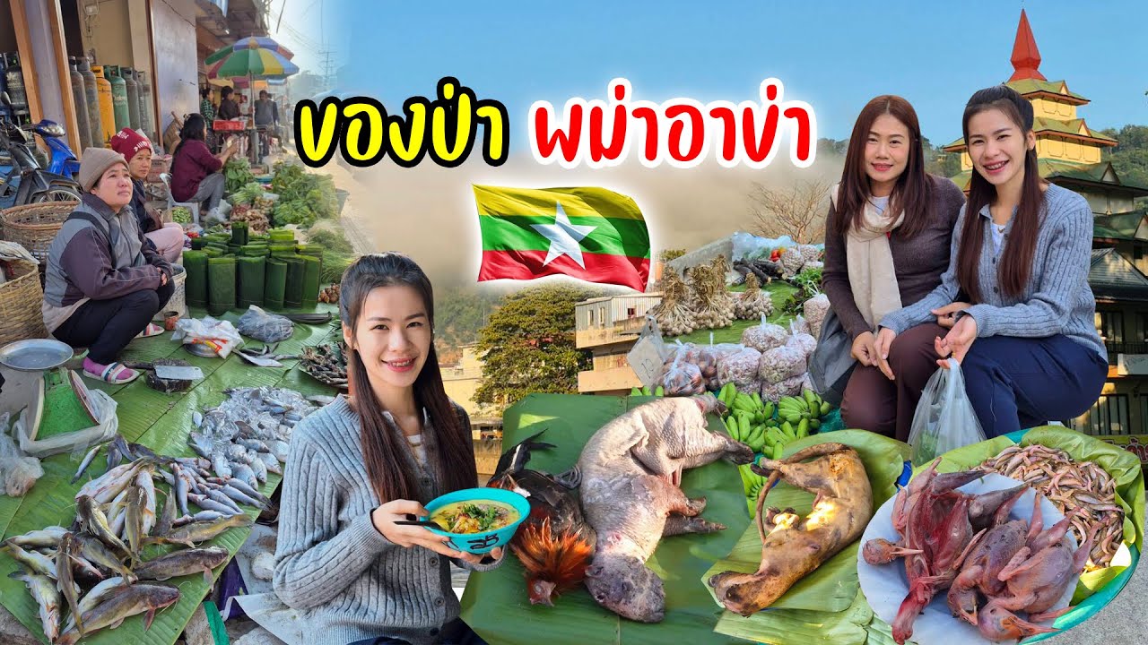 สาวเชียงตุงพาเดินกาดเช้าอาข่าพม่า ของขายจากป่ากินอาหารพื้นถิ่น ผักสดถูกๆ อากาศหนาวต่างแดน