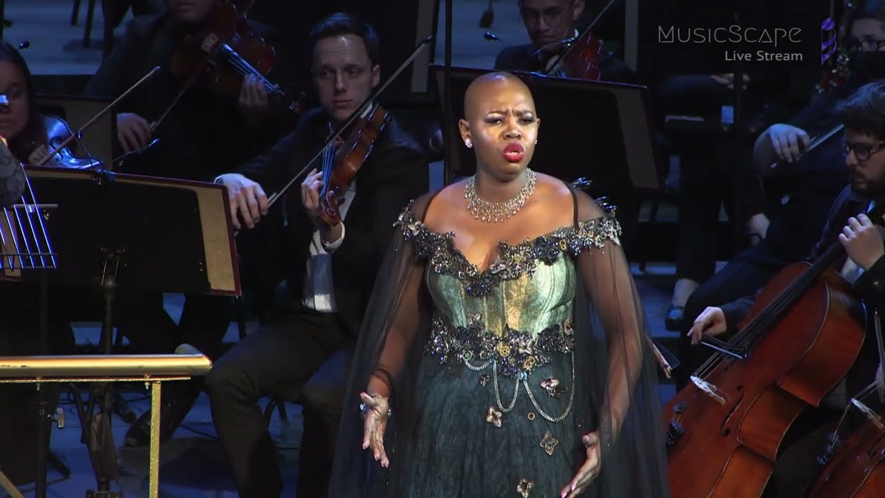 Che v‘agita cosí (Un Ballo In Maschera) Verdi, Duet Gala Concert 2022