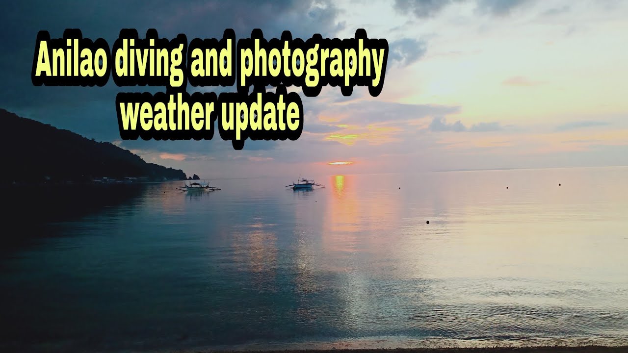 4K #short Anilao diving and photography || weather update