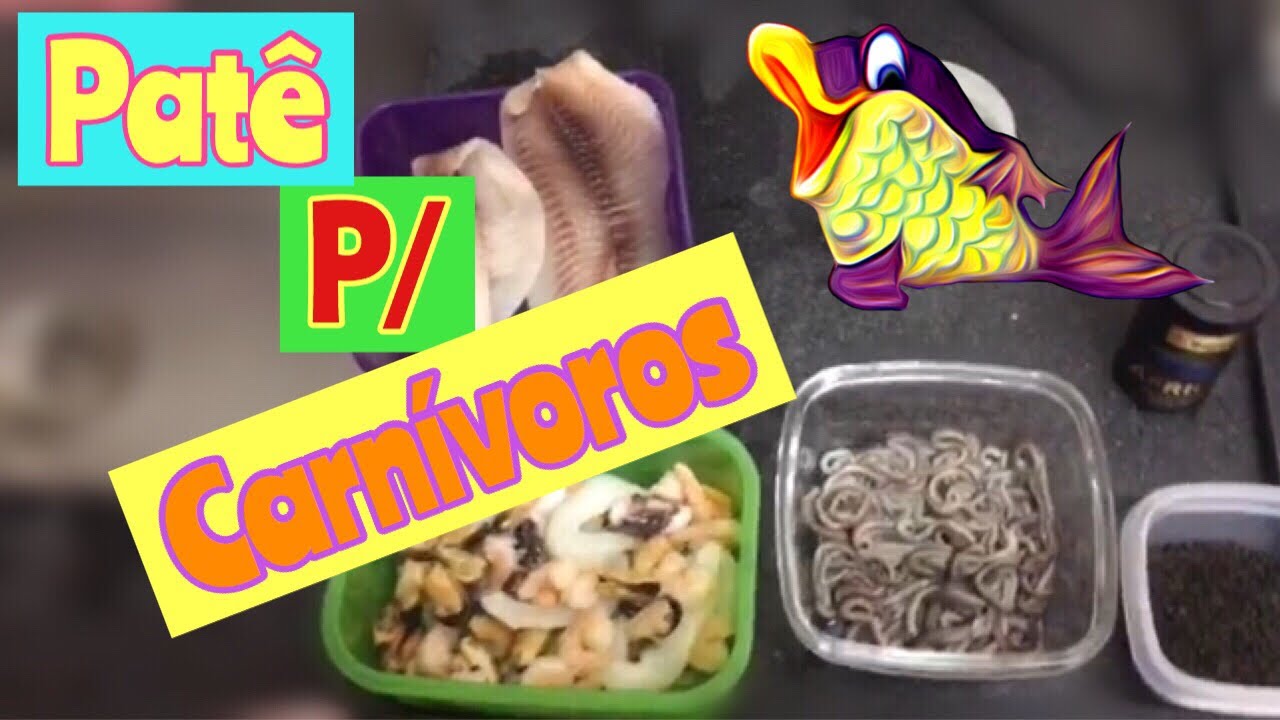 Como fazer RAÇÃO CASEIRA para PEIXES CARNÍVOROS