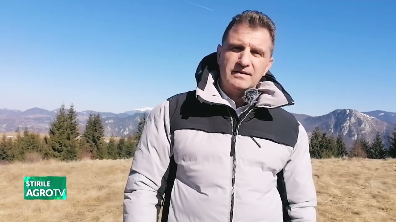 Vulturii suri din comuna Rucăr 11 03 2026