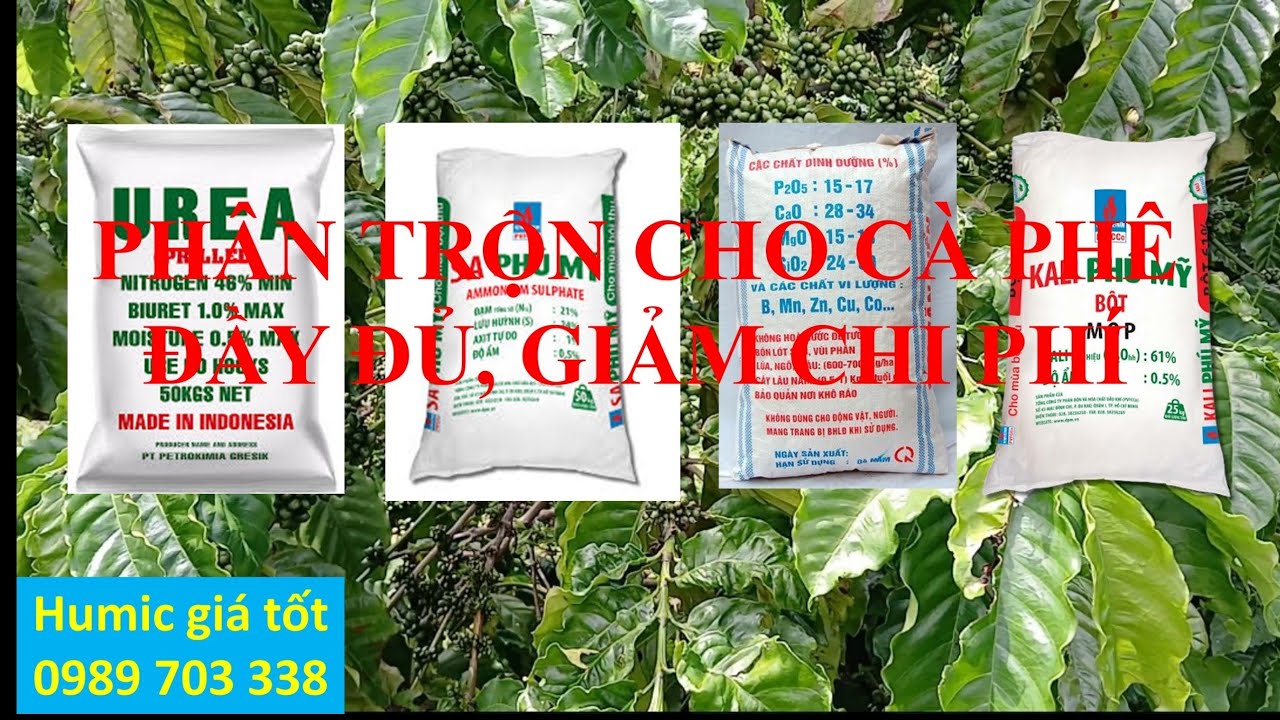 Hướng dẫn bón phân trộn cả năm cho cà phê. MV Nhân Trí