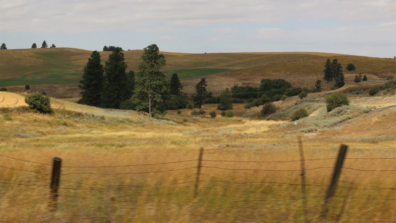 Road Trip to North Central Idaho - Moscow and Lewiston