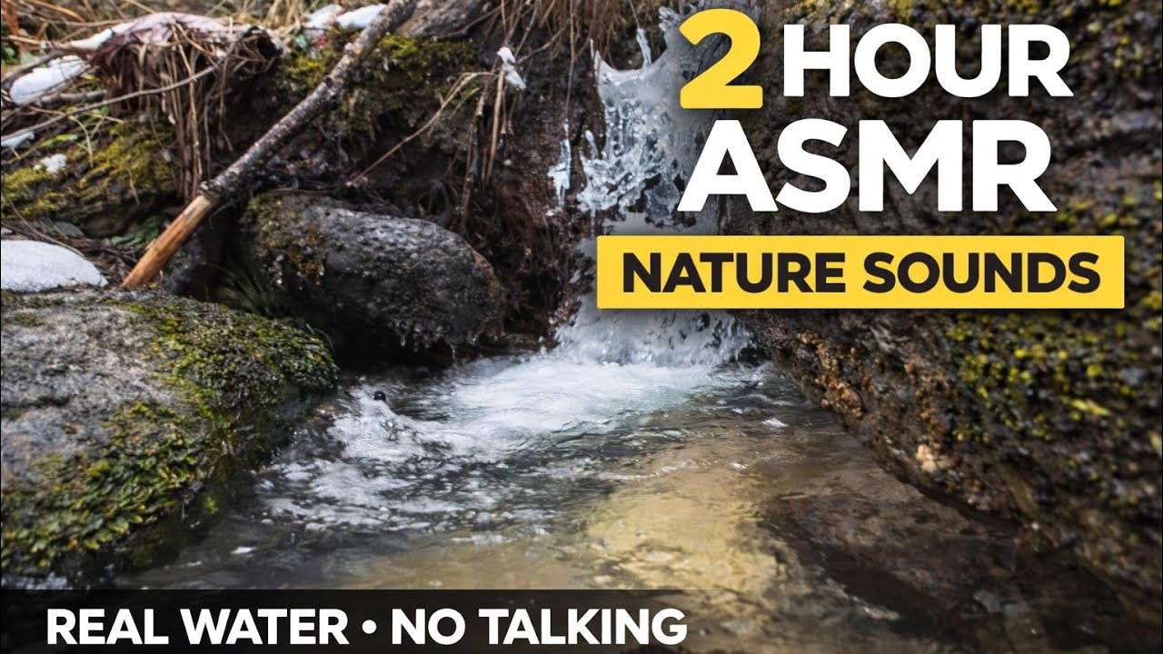 Relaxing River Sounds ASMR (2 Hours) | Real Nature, No AI