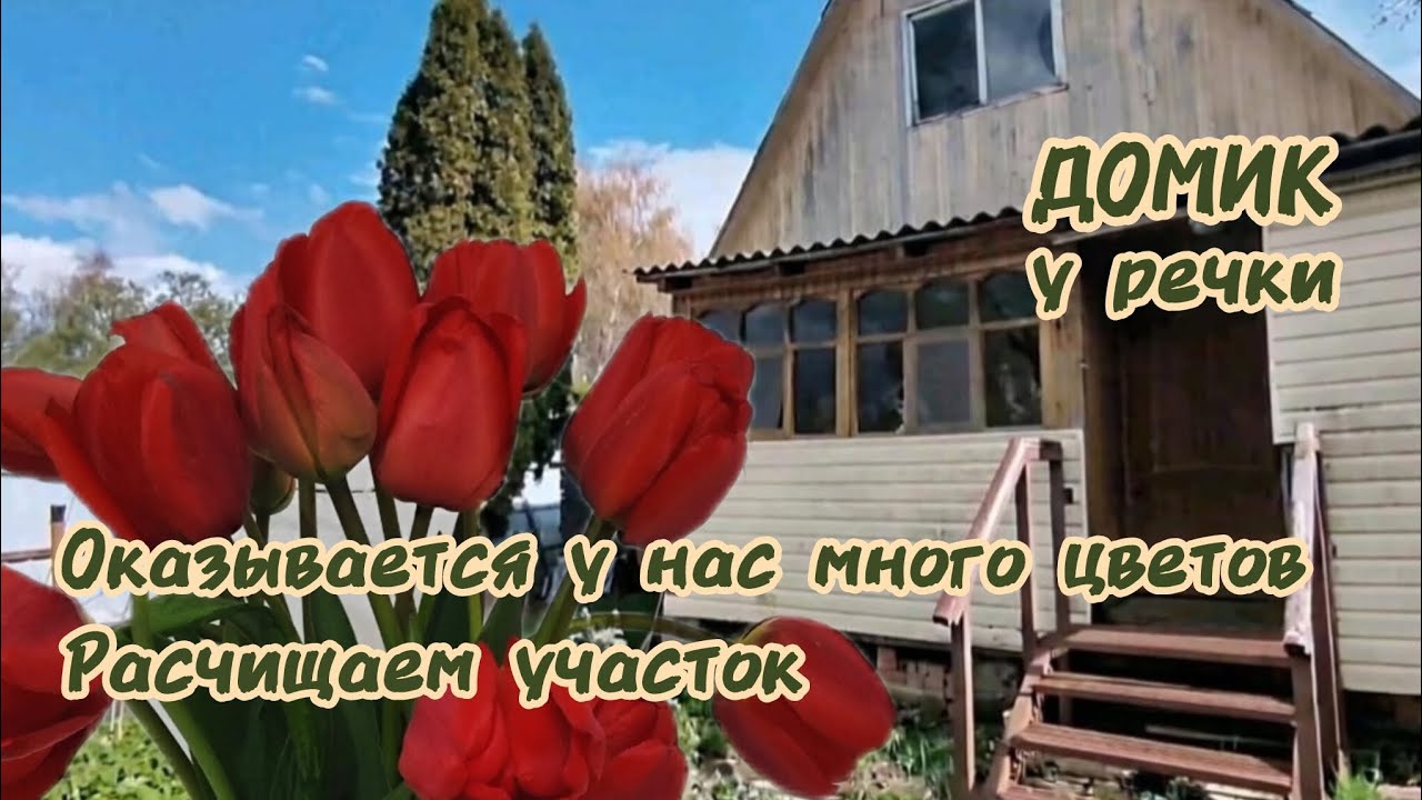 Начинаем расчищать участок. Обнаружили много цветов. Первые цветения. 