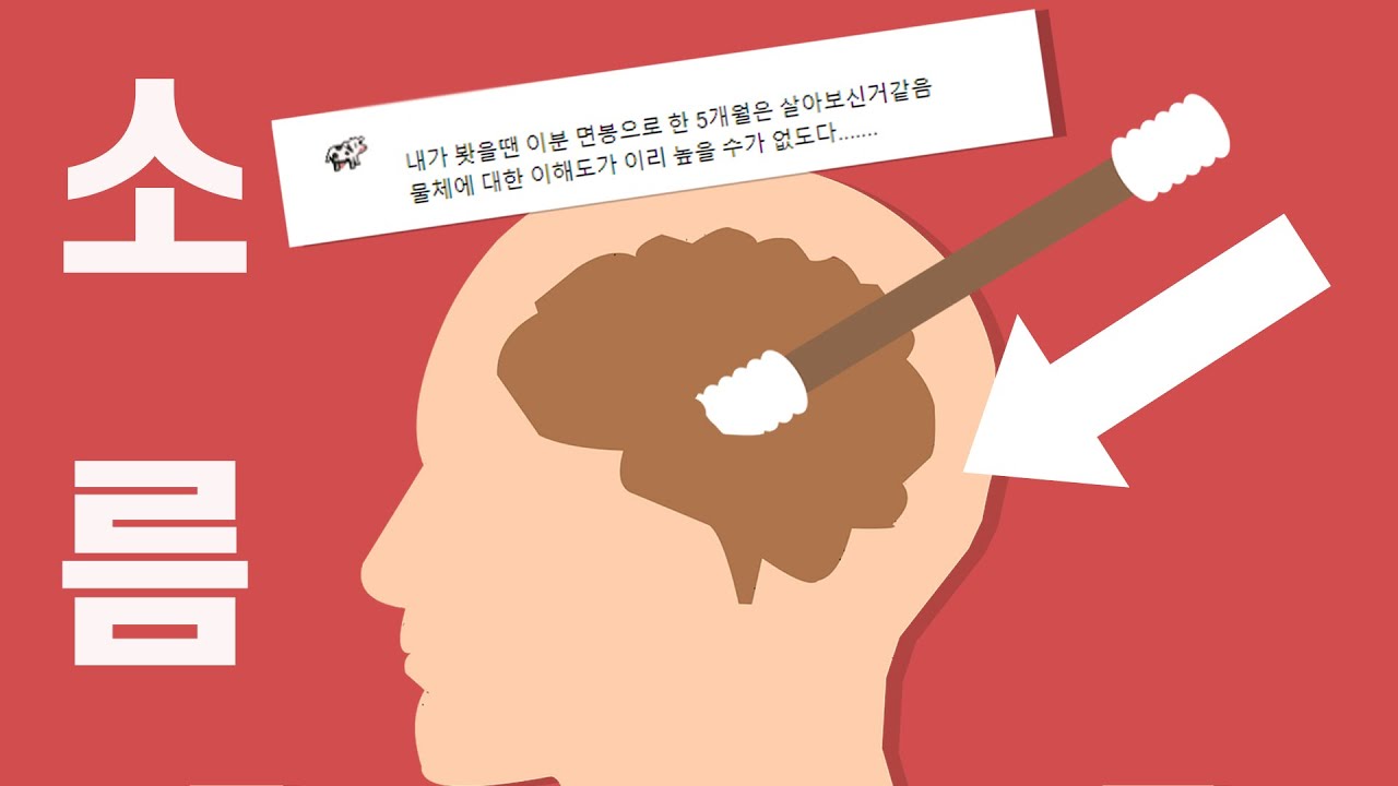 ASMR 아니 ㅋㅋ 이렇게 소름 돋아도 되나요?... 면봉 관통 귀청소 (노토킹)