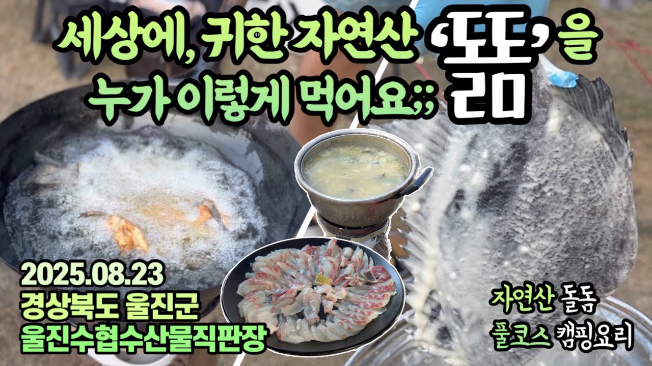 내륙의 섬?! 머나먼 경북 울진에서 자연산 돌돔을 ‘질리도록’ 먹고 왔습니다🤤