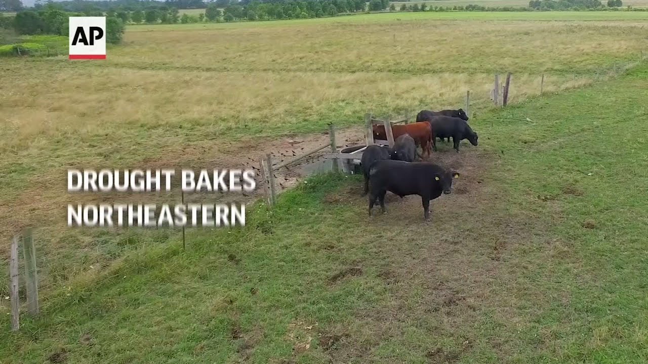 Crisis as drought bakes Northeastern United States
