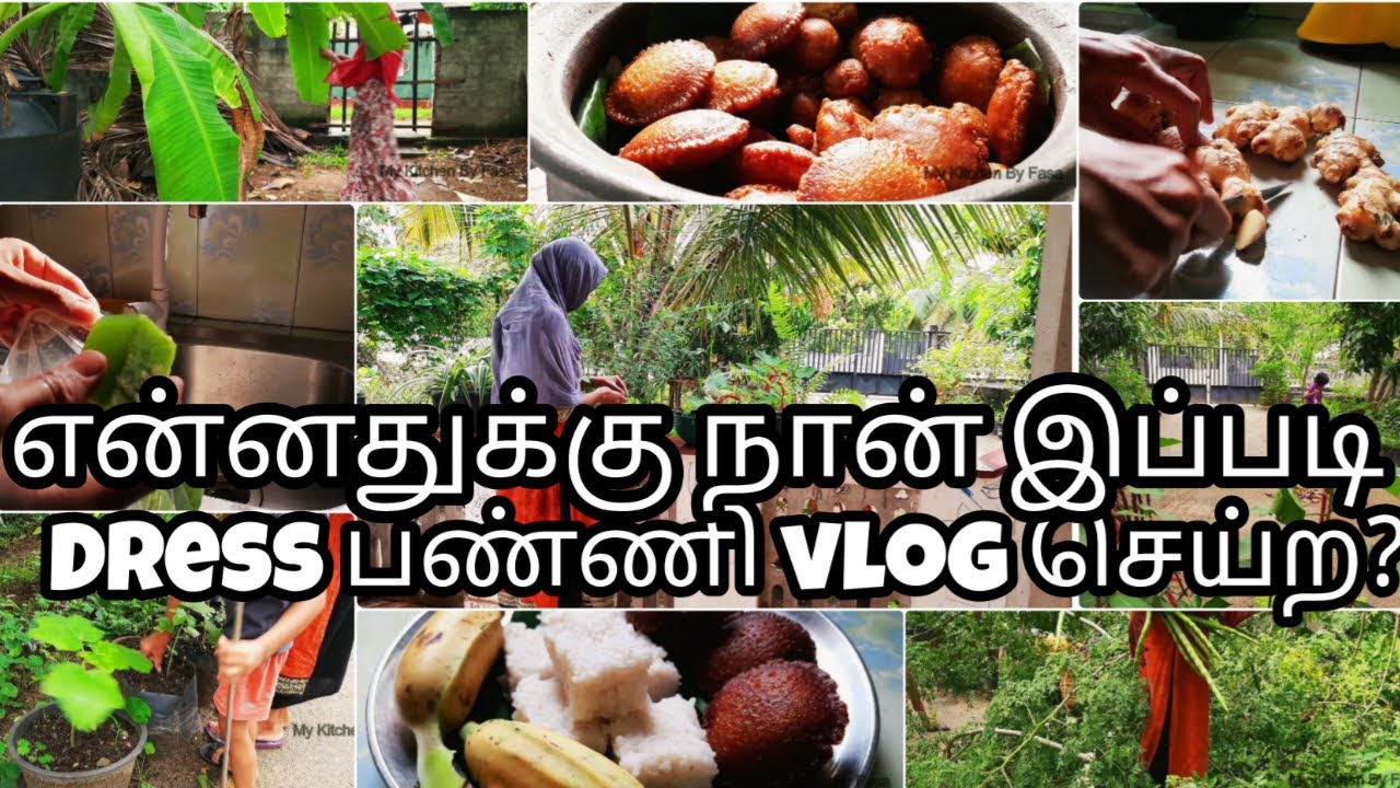 நான் இப்படி இருக்கக் காரணம் இதுதான்/Srilankan paniyaram recipe/Narang kewum/Thenga paniyaram