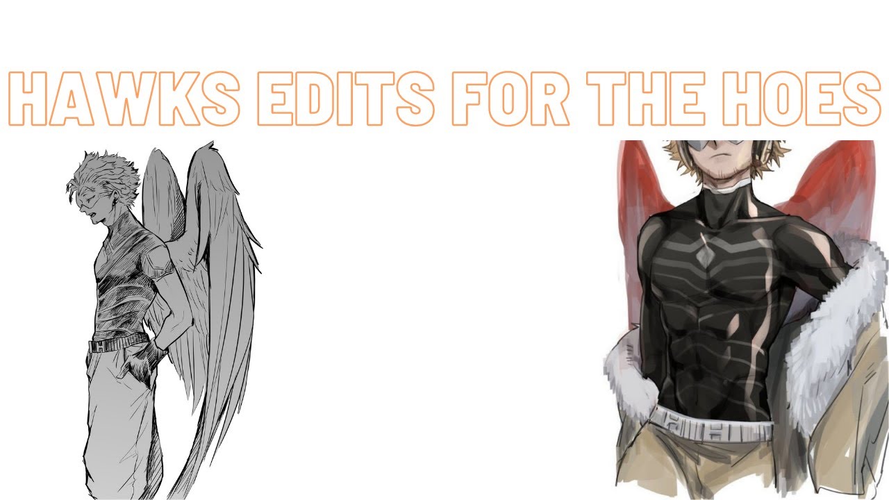 Hawks Edits for you ℌ𝔬𝔢𝔰