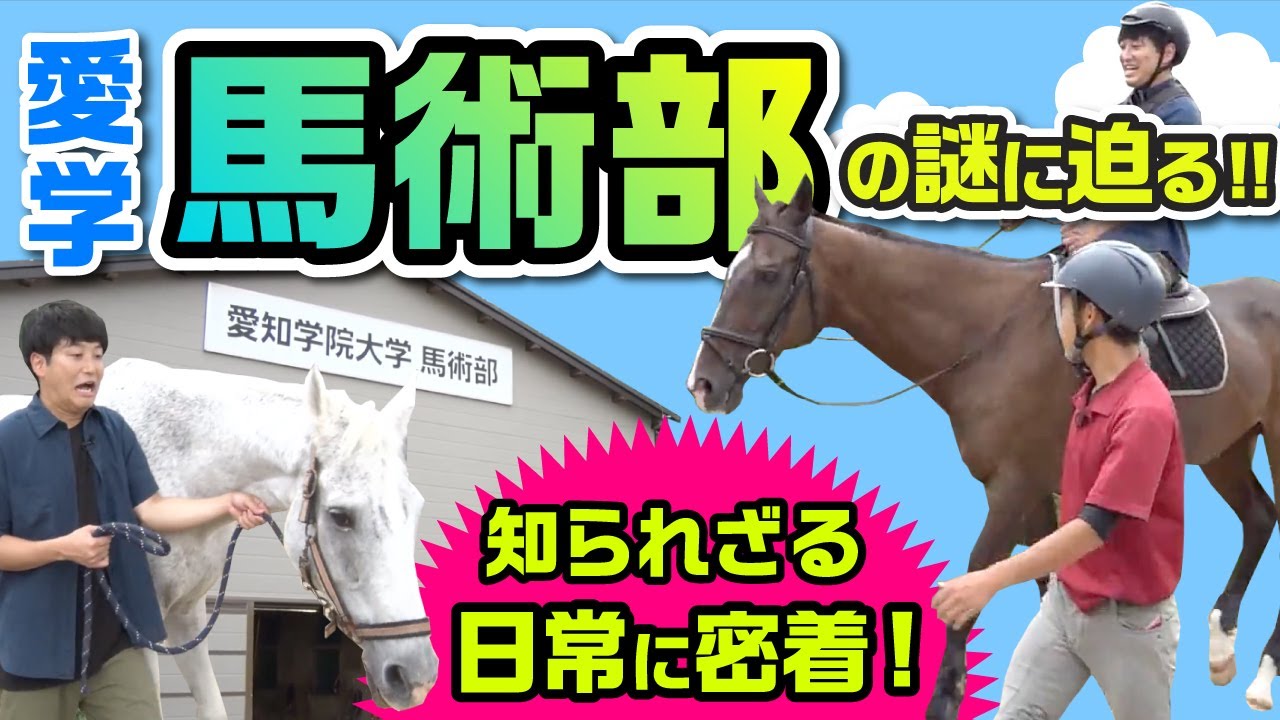 初心者でも入部可能！？馬術部の知られざる裏側に潜入！