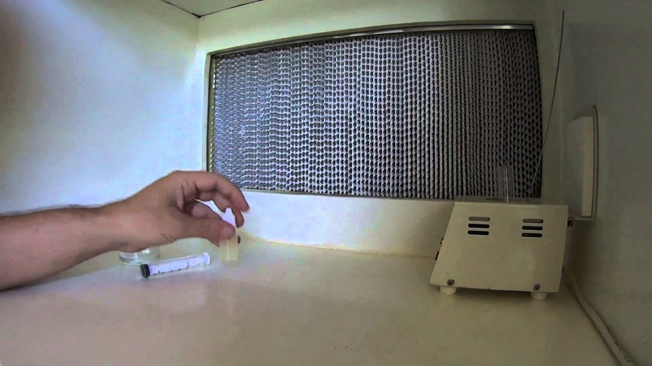 How to Dissolve Triacontanol