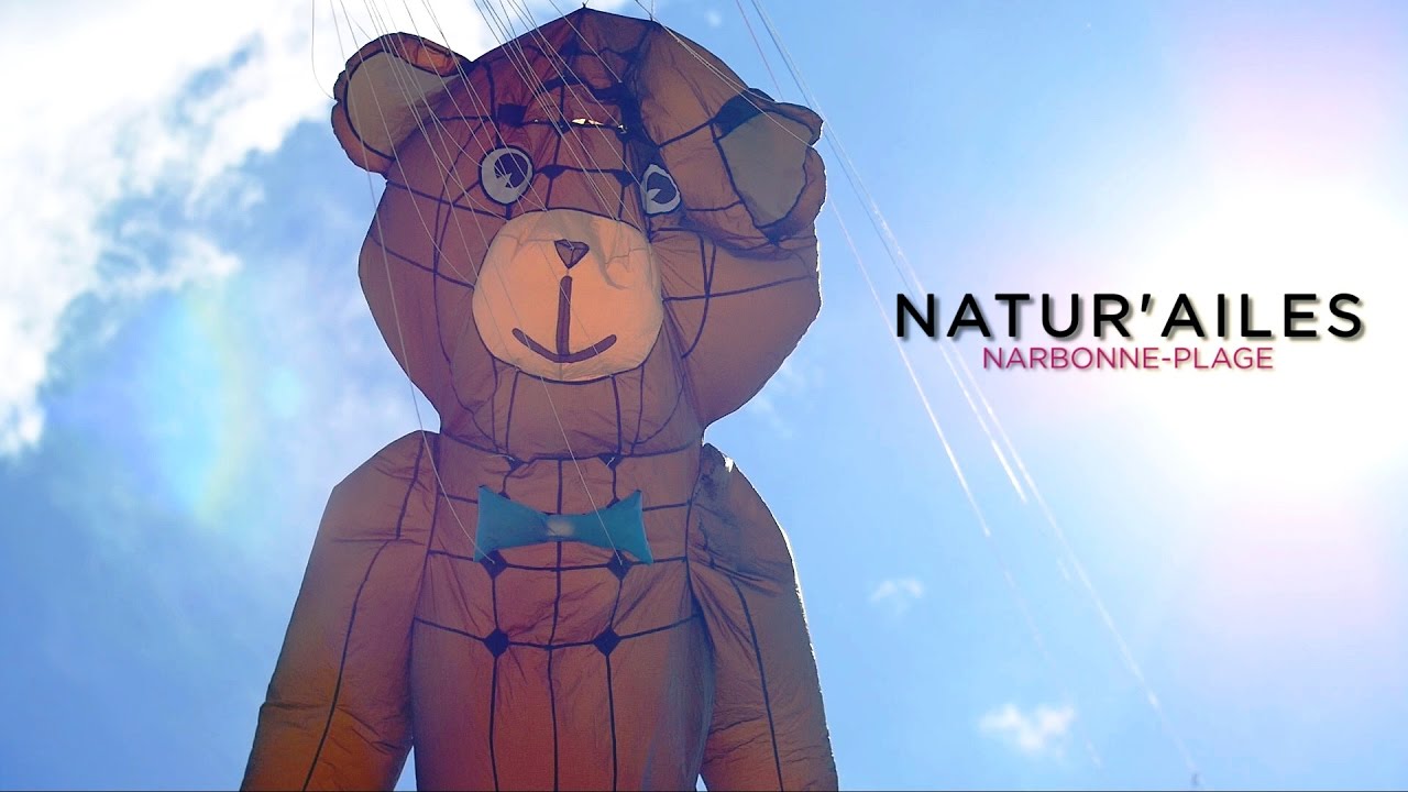 An amazing kite party! Natur'ailes